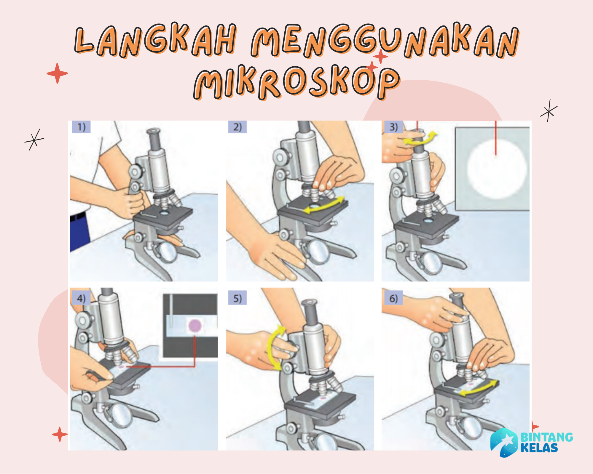 cara dan langkah penggunaan mikroskop